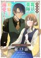 婚約破棄された魔法薬師は炎の騎士に溺愛される~ただ幸せに、なりたかった~【単話】 13