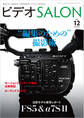 ビデオ SALON (サロン) 2015年 12月号