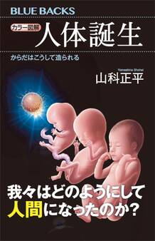 カラー図解 人体誕生 からだはこうして造られる