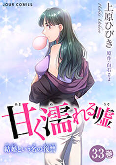 甘く濡れる嘘~結婚という名の復讐~ : 33