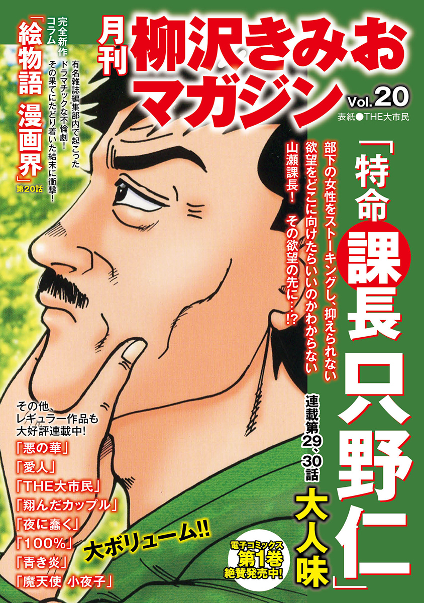 月刊　柳沢きみおマガジン