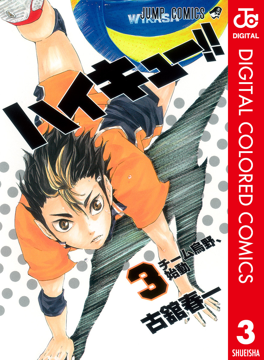 ハイキュー！！ カラー版 3