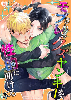 モブレされるクズヤンキーを性的に助ける本