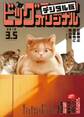 ビッグコミックオリジナル 2018年5号(2018年2月20日発売)