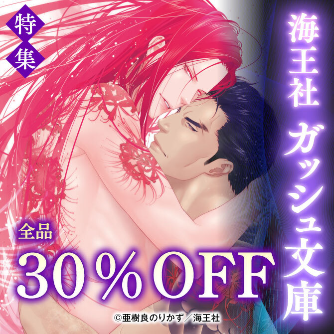 海王社 ガッシュ文庫 特集 全品30％OFF