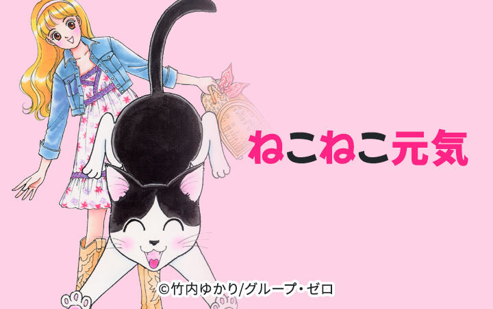 ねこねこ元気