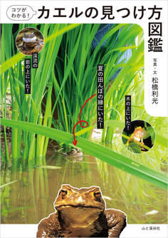コツがわかる!カエルの見つけ方図鑑