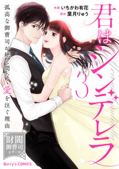 君はシンデレラ~孤高な御曹司が絶え間なく愛を注ぐ理由~【財閥御曹司シリーズ】