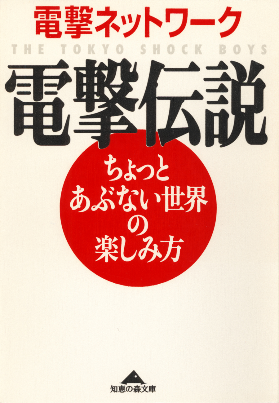 電撃伝説～ちょっとあぶない世界の楽しみ方～