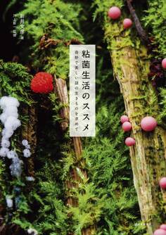 粘菌生活のススメ