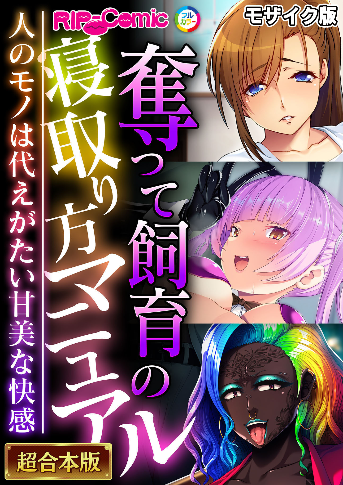 【期間限定　試し読み増量版】奪って飼育の寝取り方マニュアル ～人のモノは代えがたい甘美な快感～【超合本シリーズ】 モザイク版