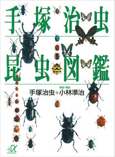 手塚治虫 昆虫図鑑