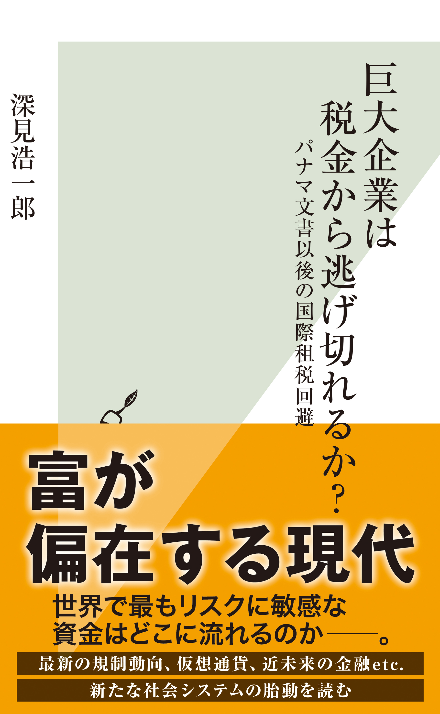 巨大企業は税金から逃げ切れるか？～パナマ文書以後の国際租税回避～