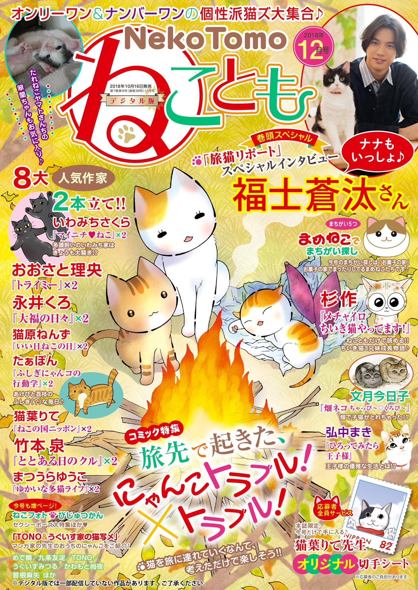 ねこともvol.58