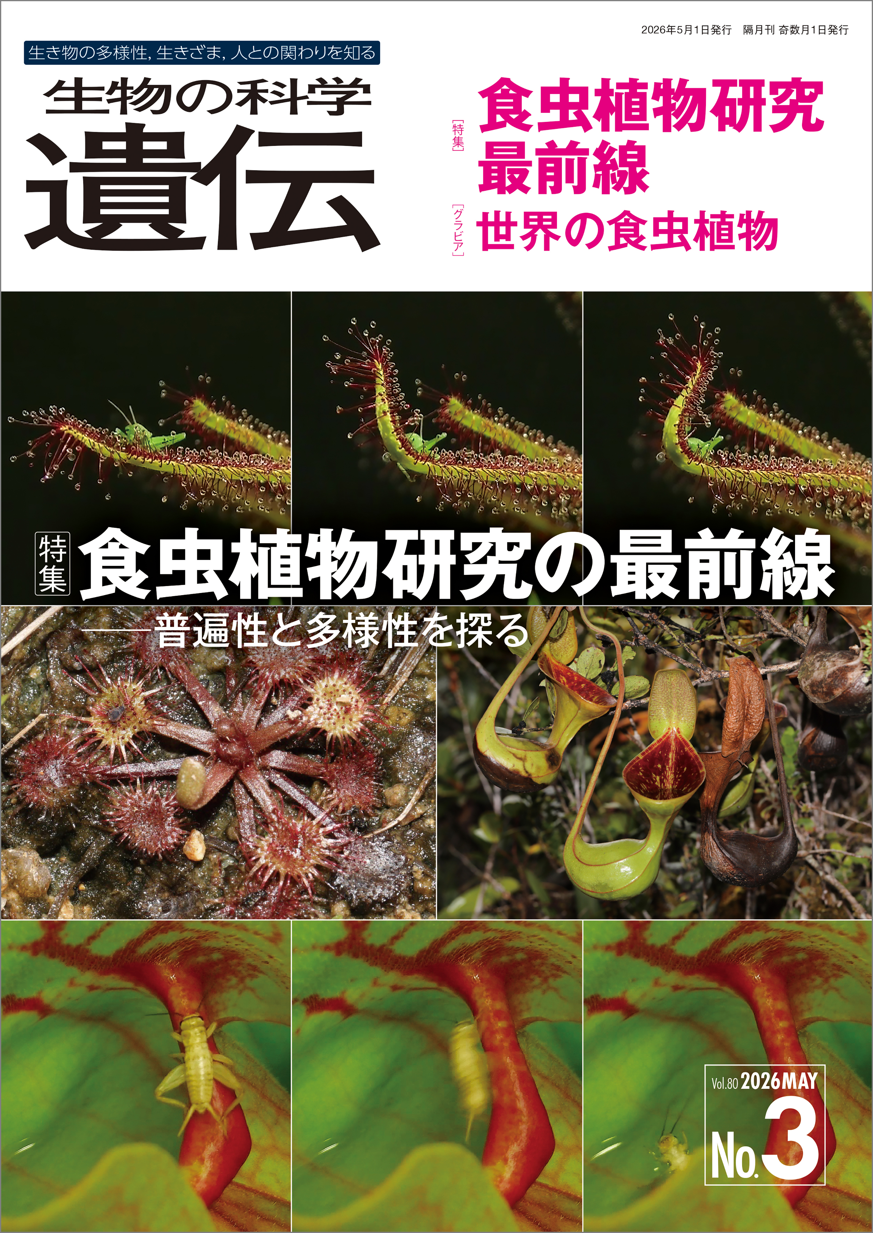 生物の科学 遺伝 2026年5月発行号 Vol.80 No.3