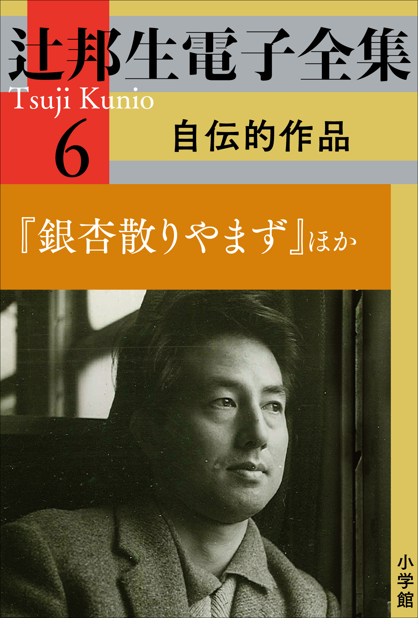 辻邦生電子全集 6巻 自伝的作品　『銀杏散りやまず』ほか