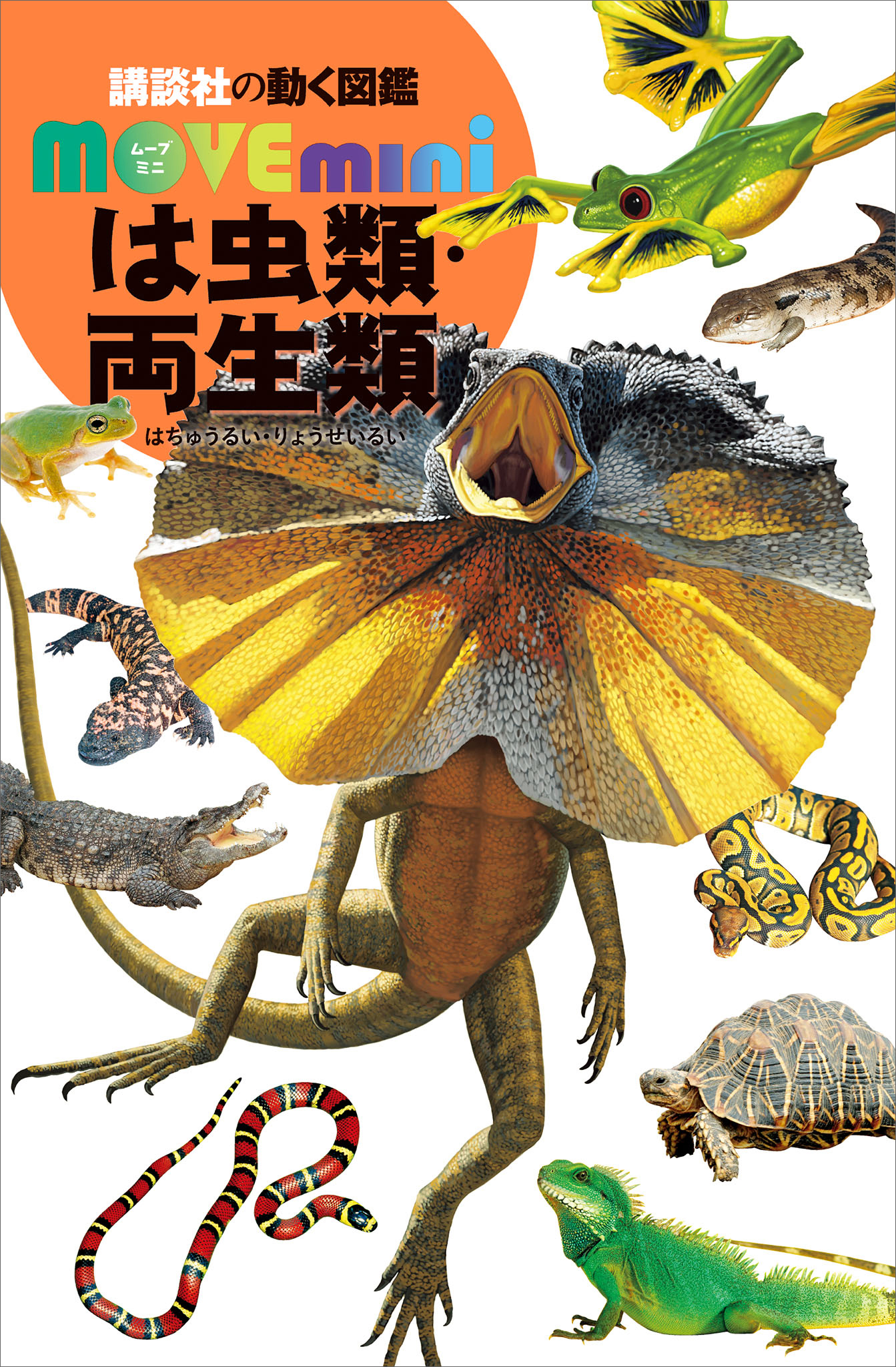 は虫類・両生類