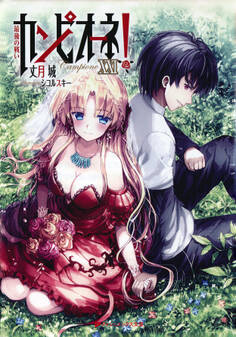 カンピオーネ! XXI 最後の戦い