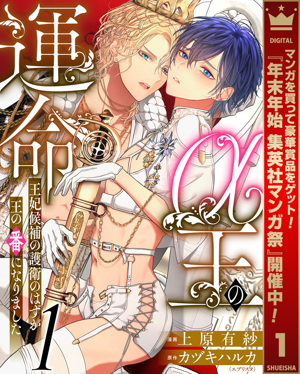 α王の運命～王妃候補の護衛のはずが王の番になりました～