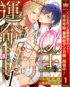 α王の運命~王妃候補の護衛のはずが王の番になりました~【期間限定無料】 1