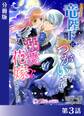 このたび竜陛下につがいにされて溺愛花嫁になりました【分冊版3】