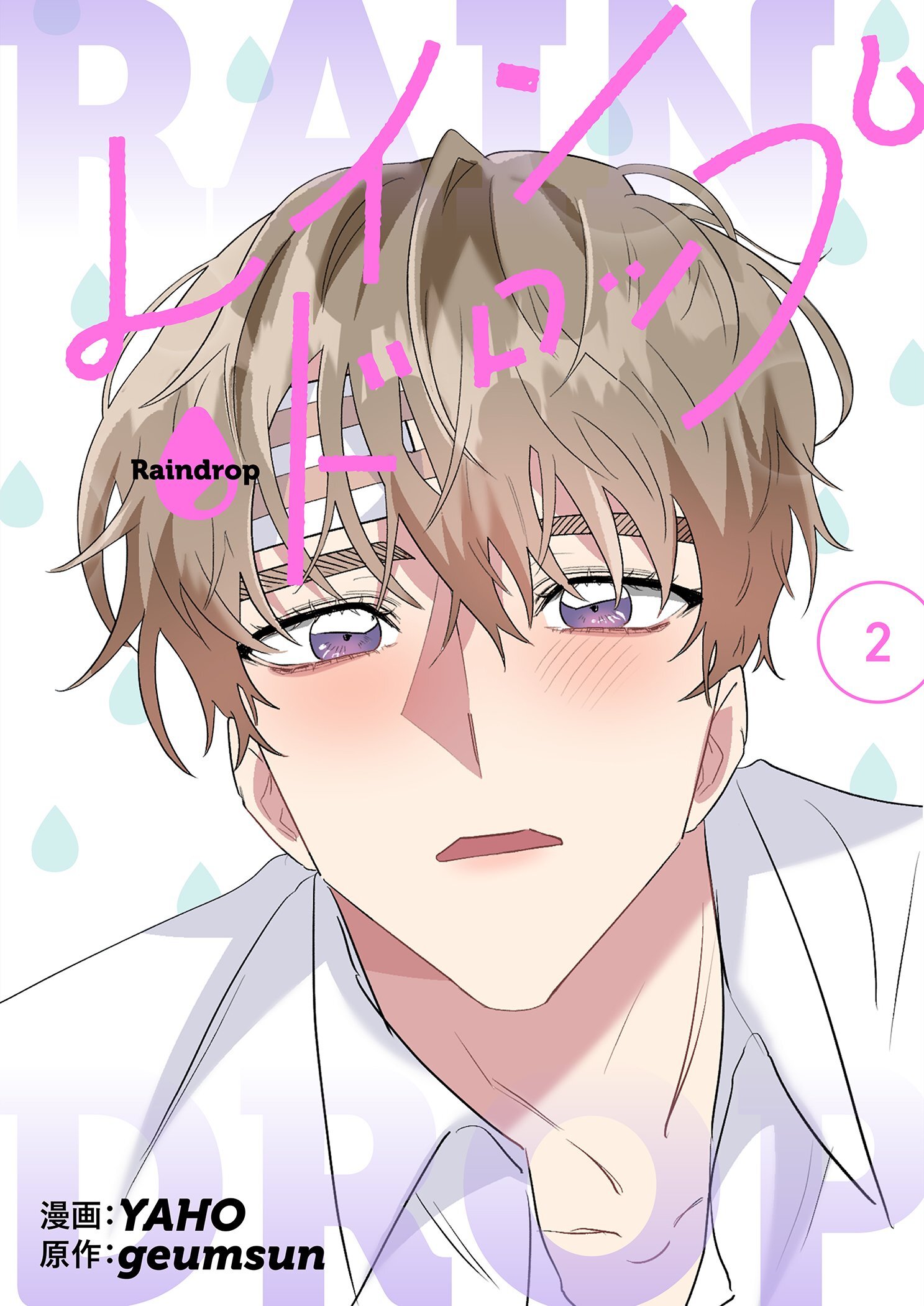 レインドロップ（フルカラー）【特装版】 2
