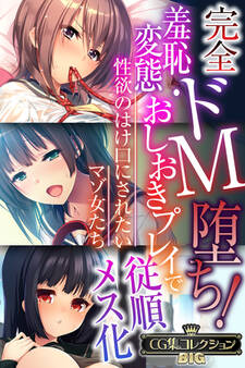 完全ドM堕ち!羞恥・変態おしおきプレイで従順メス化 ~性欲のはけ口にされたいマゾ女たち~【CG集コレクションBIG】