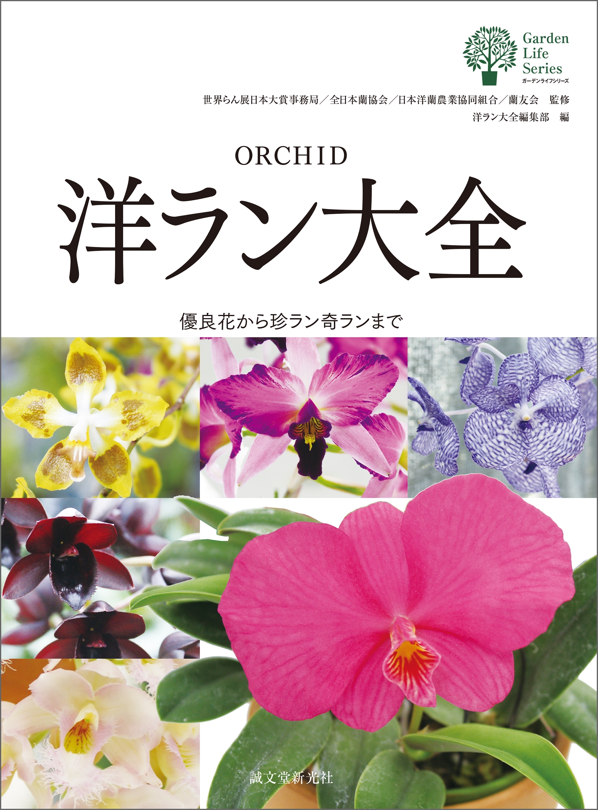 洋ラン大全