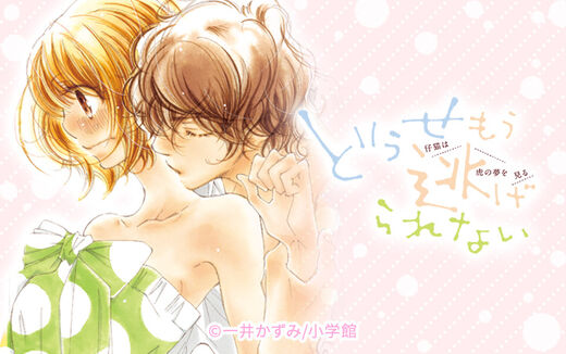 どうせもう逃げられない