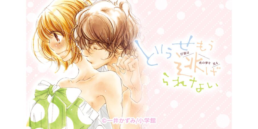 30話無料 どうせもう逃げられない 無料連載 Amebaマンガ 旧 読書のお時間です 30話無料 どうせもう逃げられない 無料連載 Amebaマンガ 旧 読書のお時間です