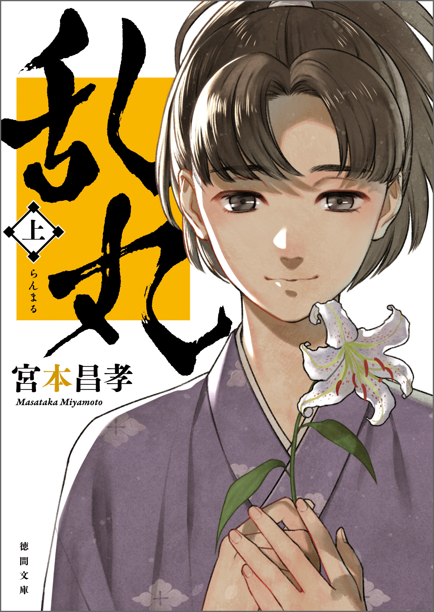 乱丸　上〈新装版〉