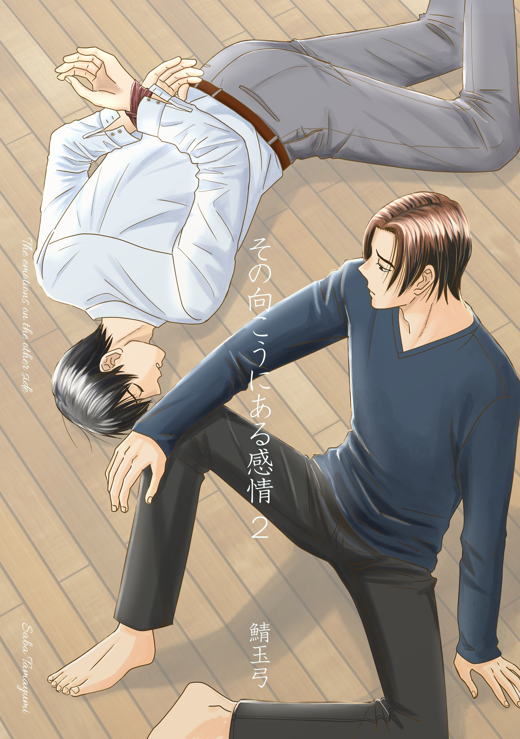 その向こうにある感情　2