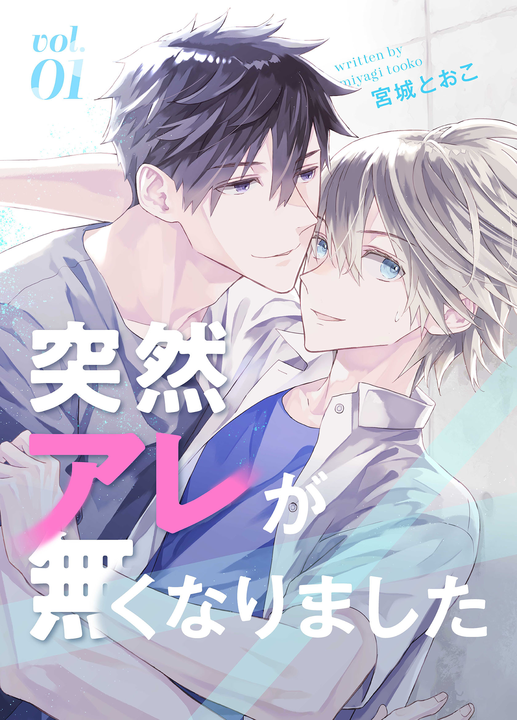 突然アレが無くなりました vol.1