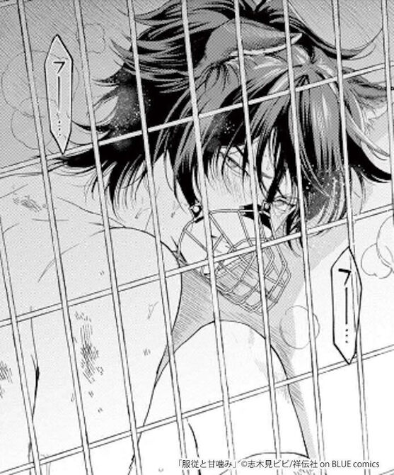 服従と甘噛み とはどんなマンガ あらすじやキャラクターを紹介 マンガ特集 人気マンガを毎日無料で配信中 無料 試し読みならamebaマンガ 旧 読書のお時間です 服従と甘噛み とはどんなマンガ あらすじやキャラクターを紹介 マンガ特集 人気マンガを毎日無料で配信中 無料 試し読みならamebaマンガ 旧 読書のお時間です