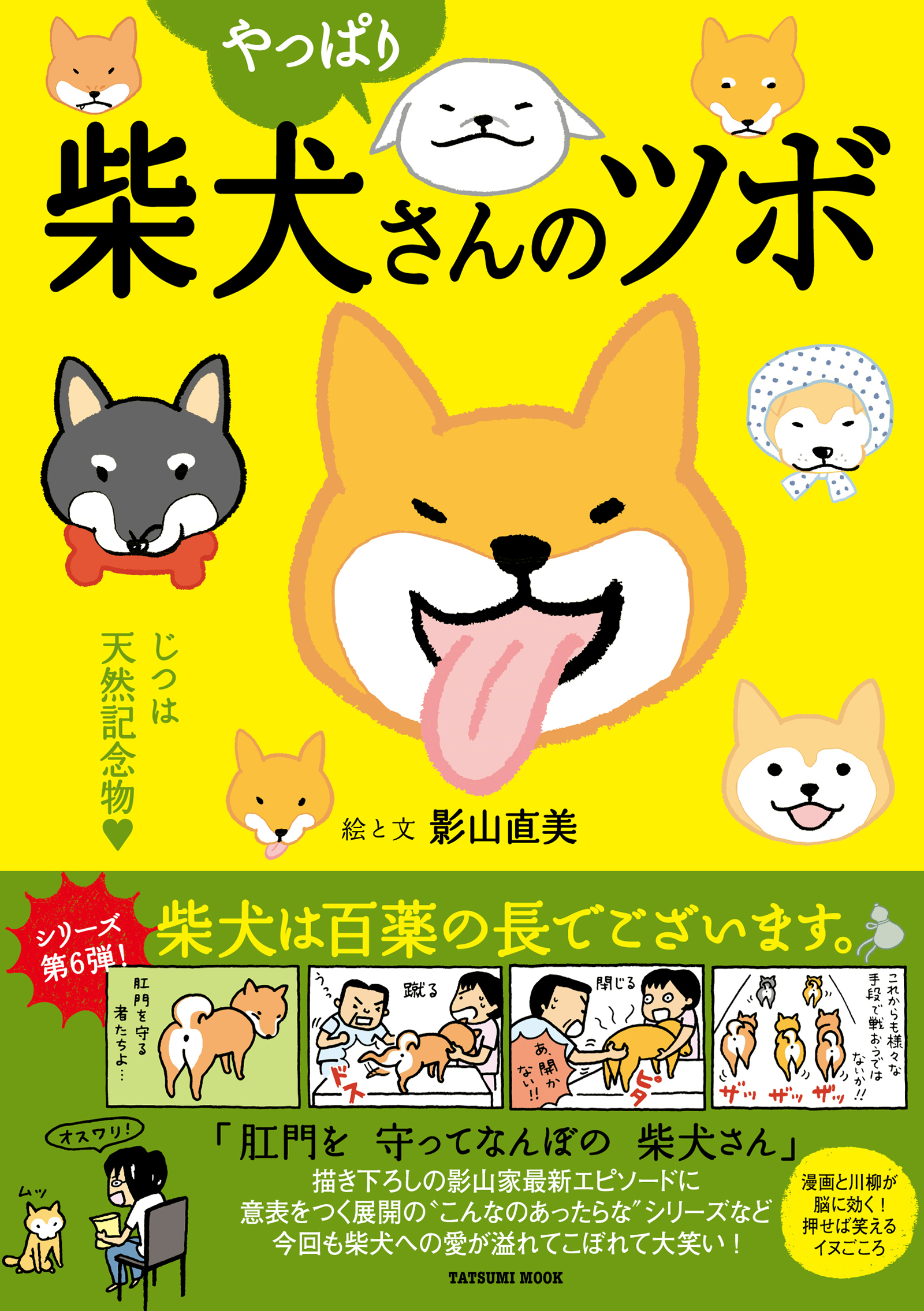 やっぱり柴犬さんのツボ