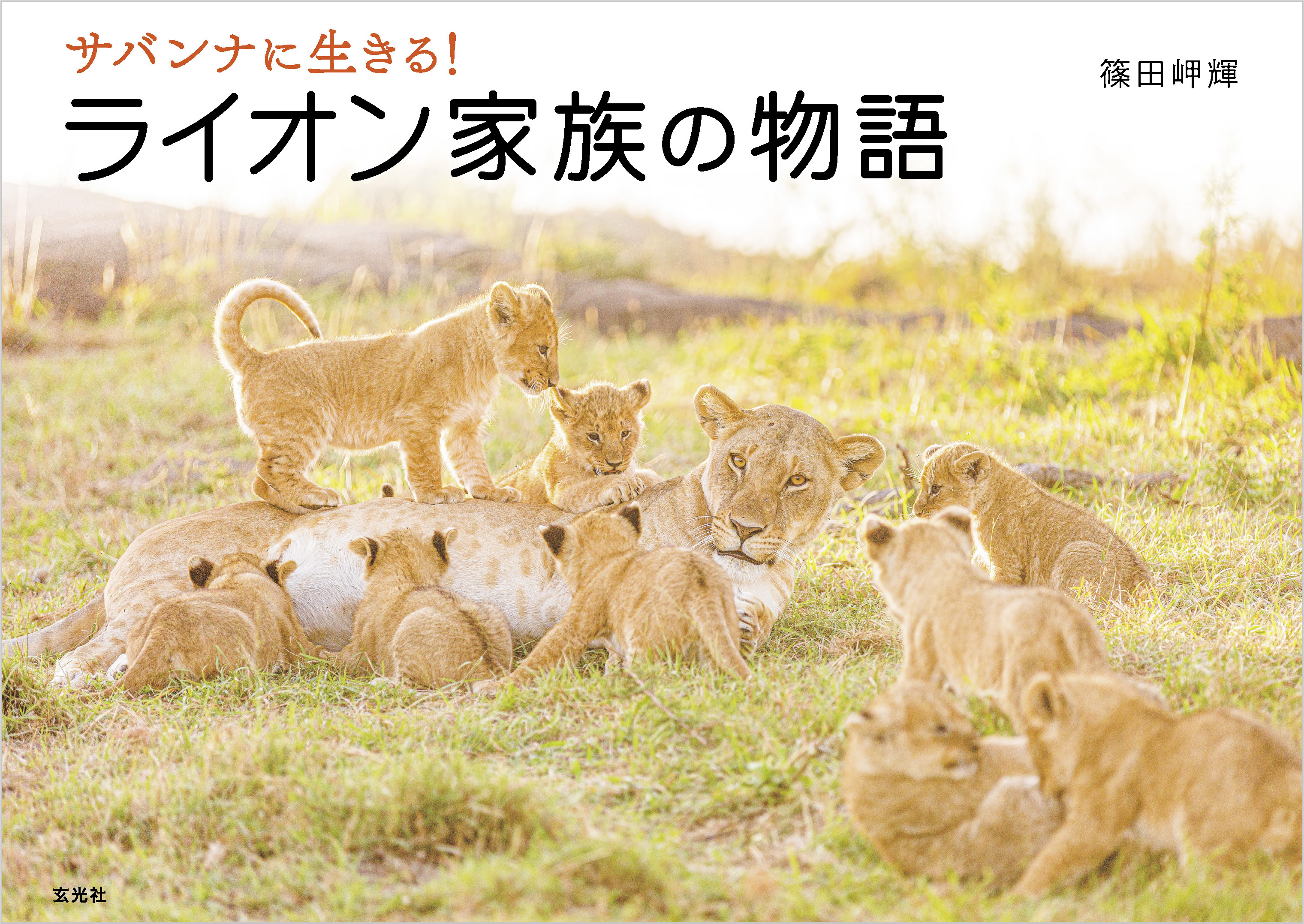 サバンナに生きる！ ライオン家族の物語