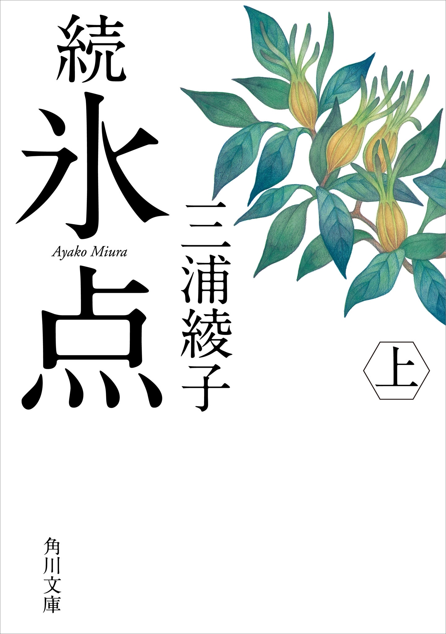 続 氷点（上）