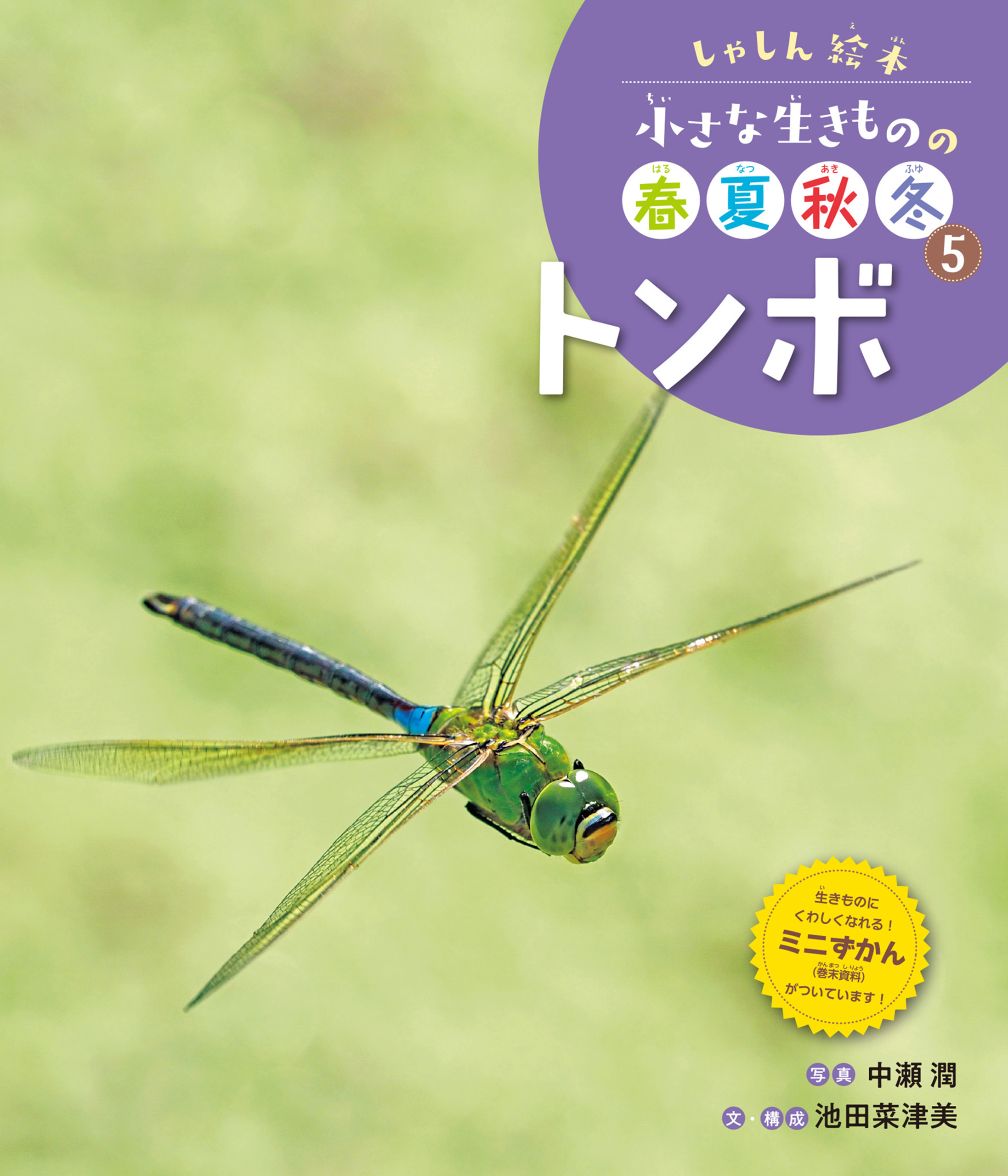 トンボ５　しゃしん絵本　小さな生きものの春夏秋冬