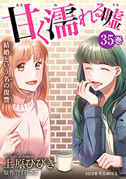 甘く濡れる嘘～結婚という名の復讐～ ： 35