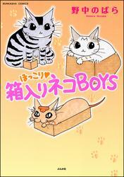 ほっこり・箱入りネコＢＯＹＳ