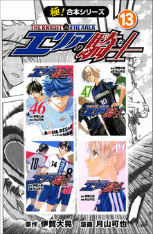 【極!合本シリーズ】 エリアの騎士13巻