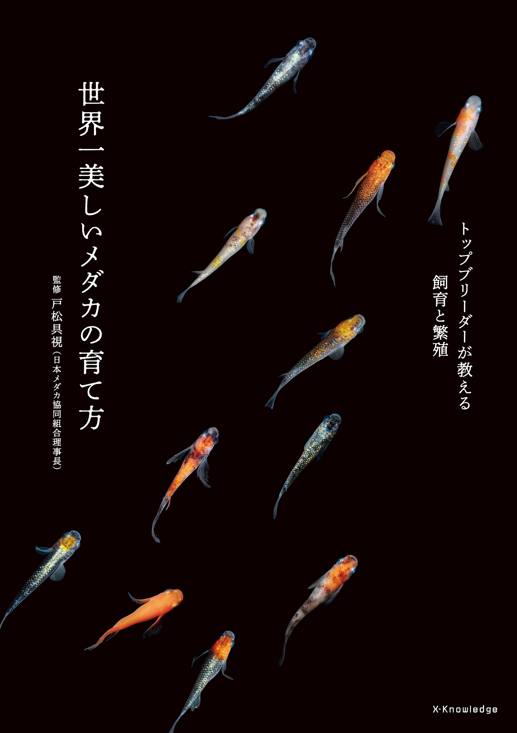 世界一美しいメダカの育て方