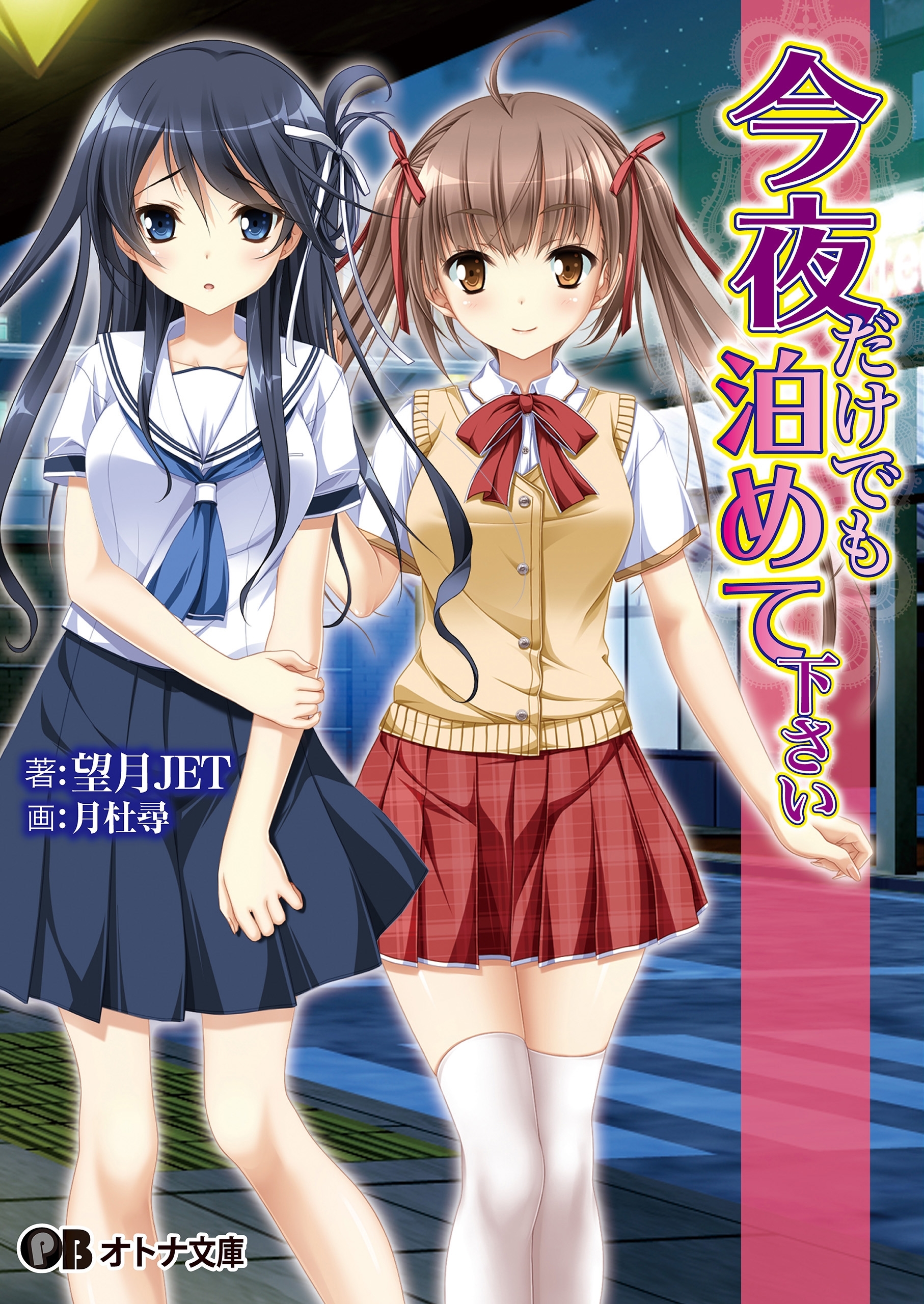 今夜だけでも泊めて下さい