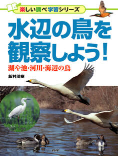 水辺の鳥を観察しよう!