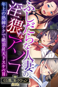 ふしだらな人妻の淫猥なアソコ ~年上の熟練テクで絶頂昇天ドスケベH~【CG集コレクションBIG】