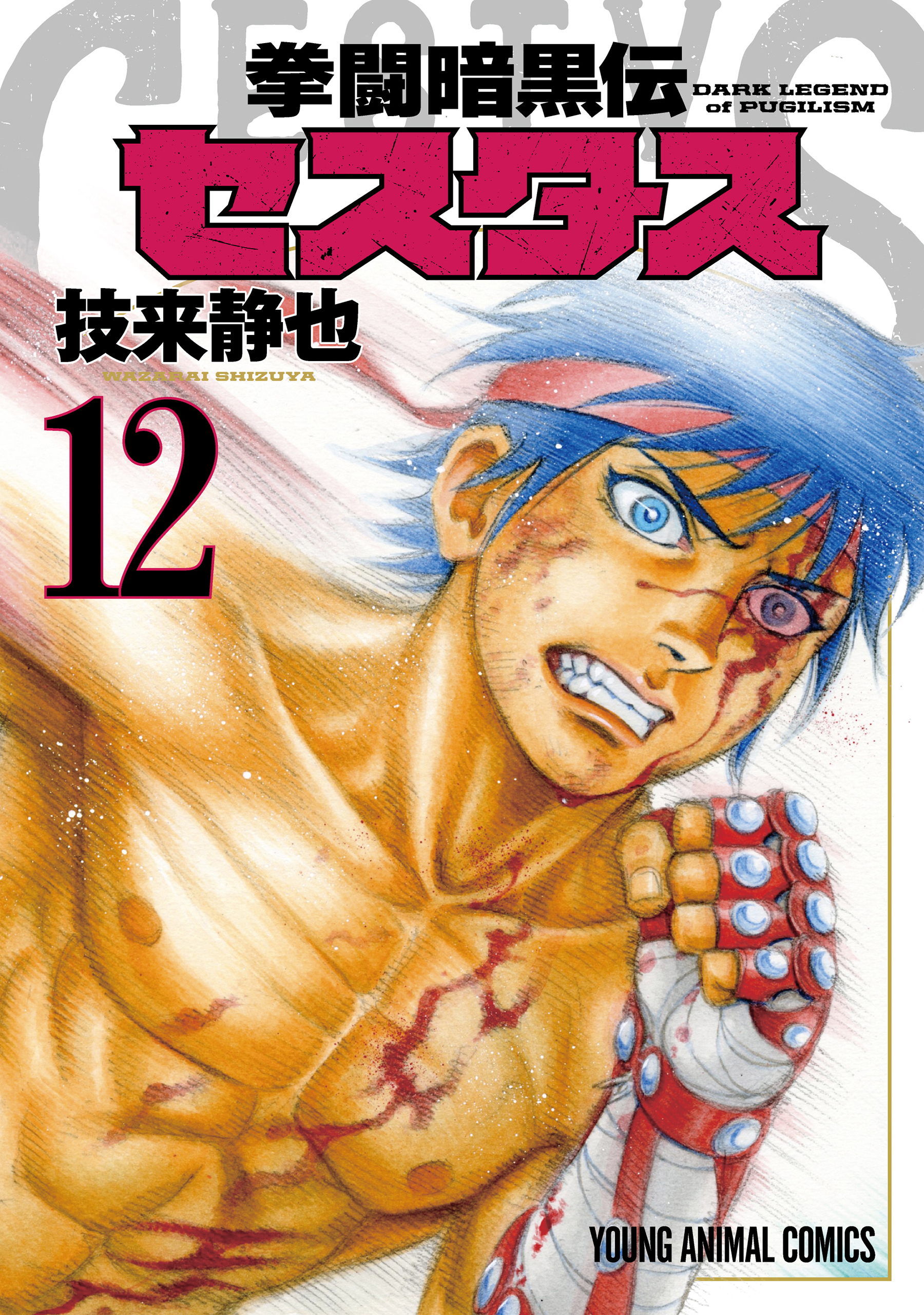 拳闘暗黒伝セスタス（12）