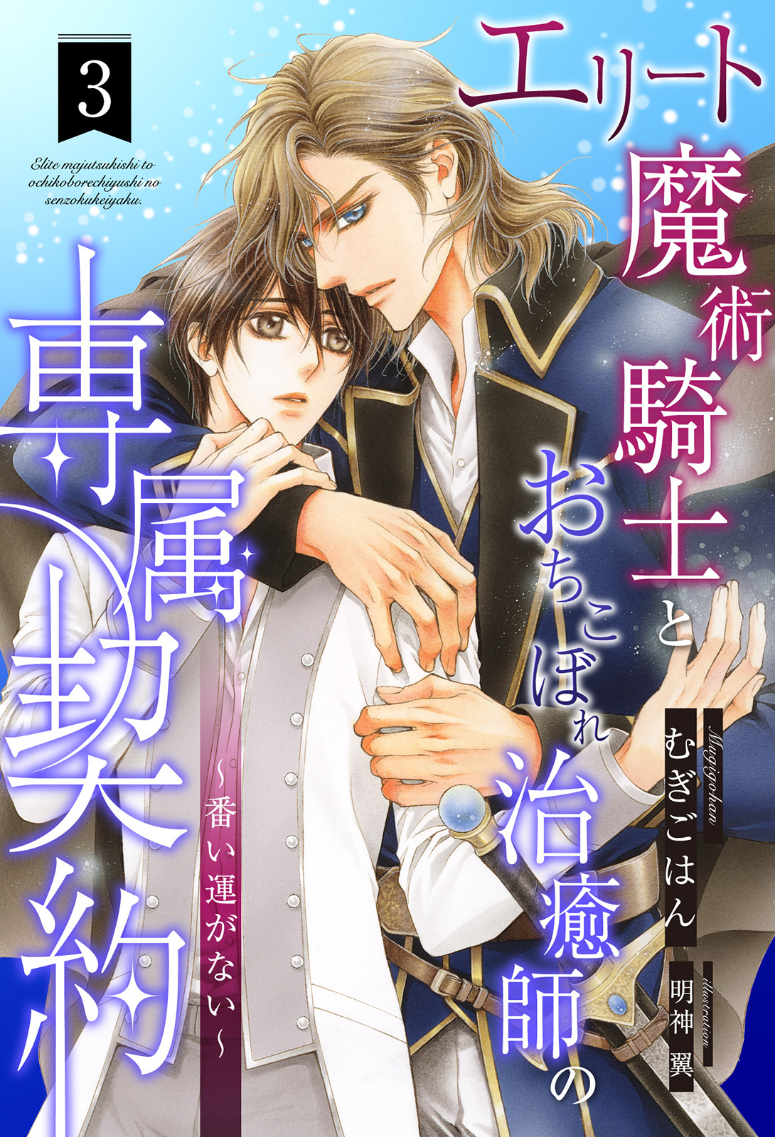 エリート魔術騎士とおちこぼれ治癒師の専属契約　～番い運がない～【３】