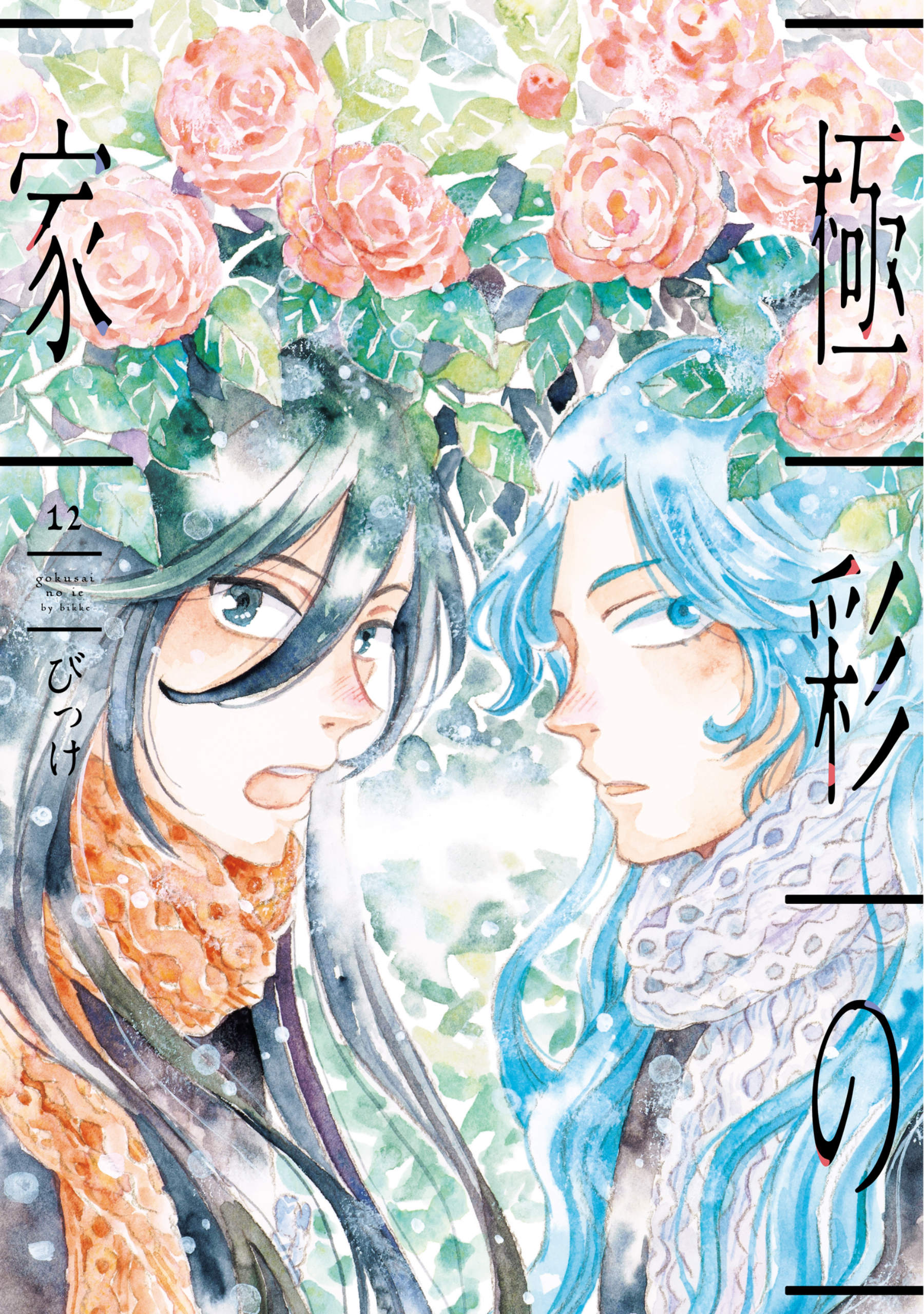 極彩の家（１２）