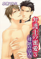 弁護士の蜜愛３～情欲の囚人～