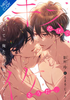 キスだけでイケそうだ。~そして、俺たちは堕ちていく~